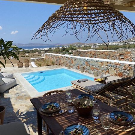 Villa Ypsilon Naxos - Luxury Holiday House With Amazing Sea View & Private Pool Agia Anna  Dış mekan fotoğraf