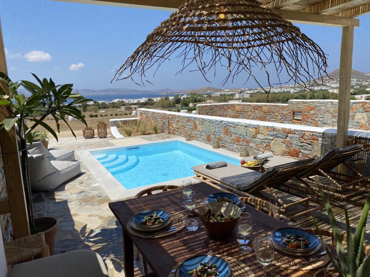 Villa Ypsilon Naxos - Luxury Holiday House With Amazing Sea View & Private Pool Agia Anna  Dış mekan fotoğraf