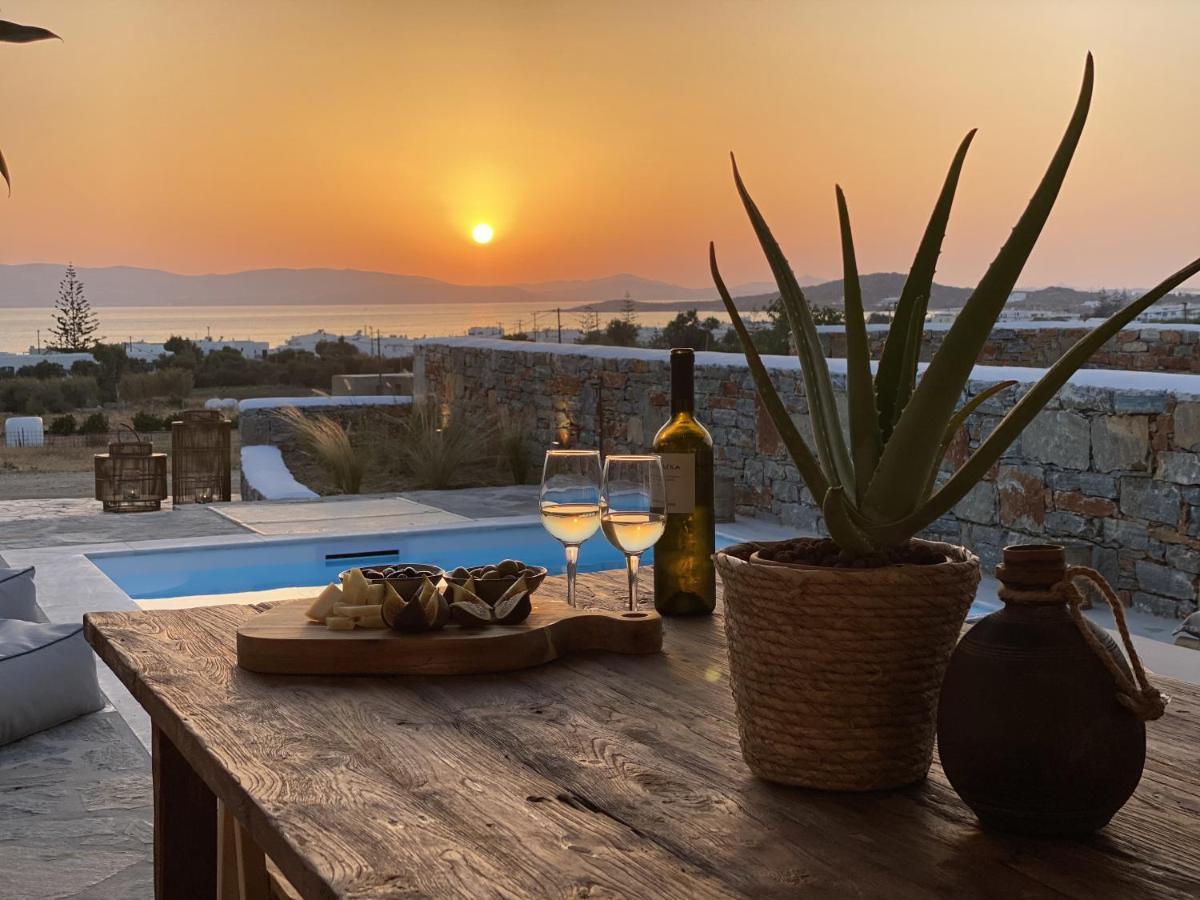 Villa Ypsilon Naxos - Luxury Holiday House With Amazing Sea View & Private Pool Agia Anna  Dış mekan fotoğraf