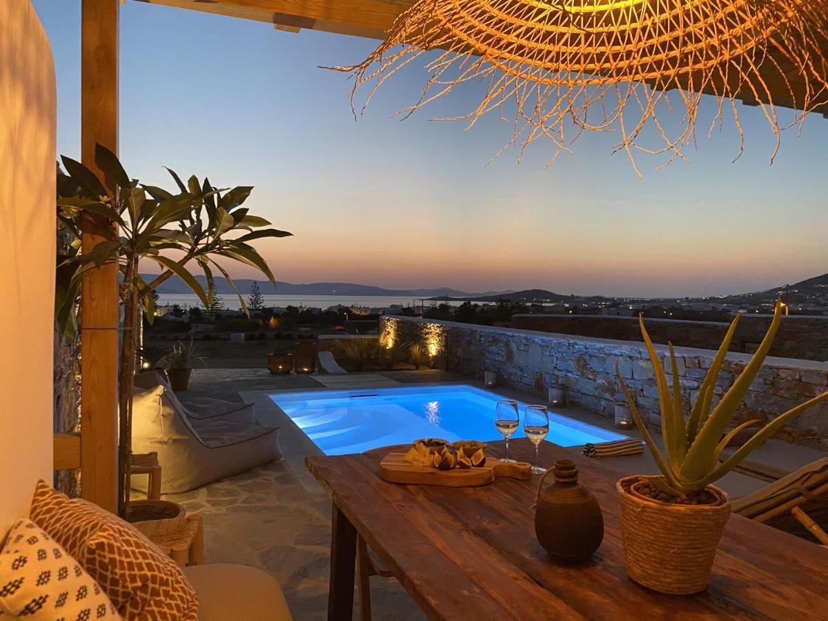 Villa Ypsilon Naxos - Luxury Holiday House With Amazing Sea View & Private Pool Agia Anna  Dış mekan fotoğraf