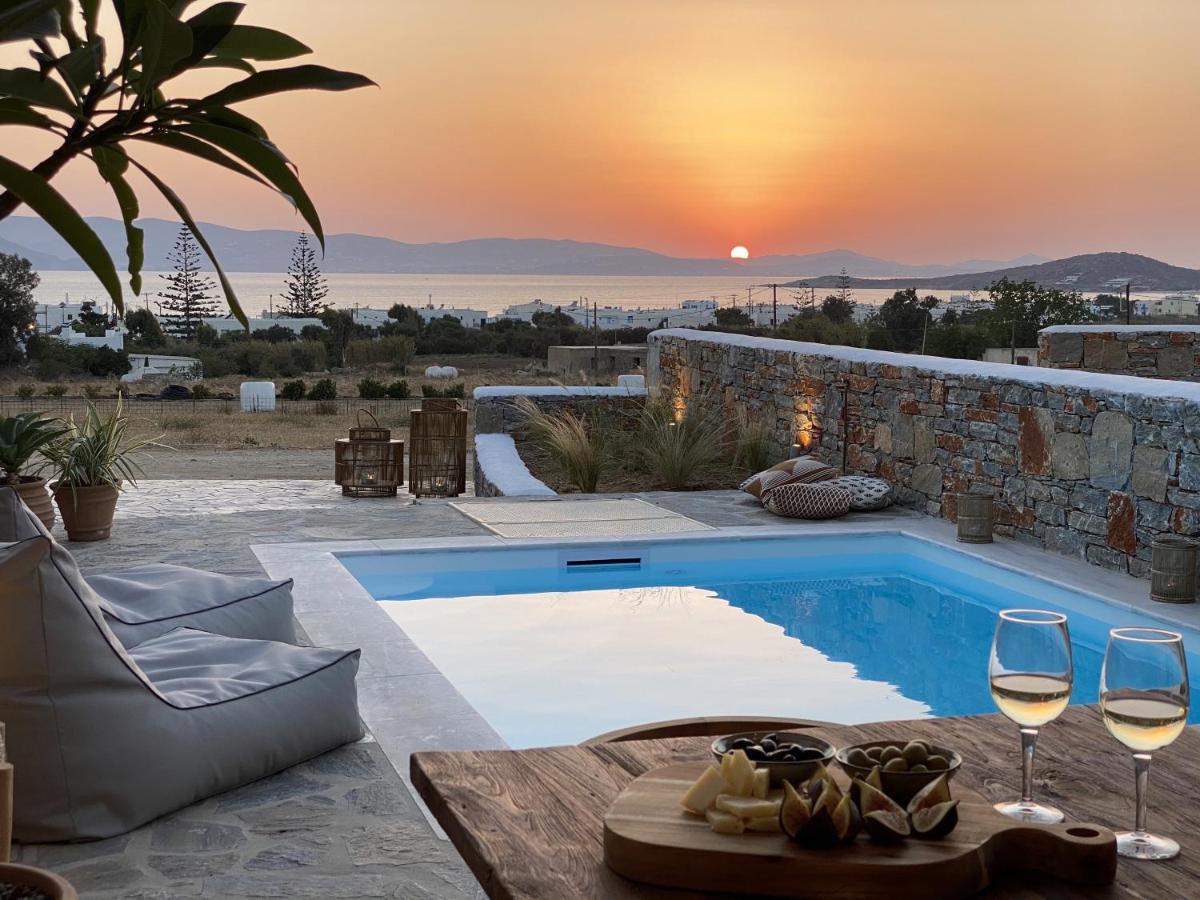 Villa Ypsilon Naxos - Luxury Holiday House With Amazing Sea View & Private Pool Agia Anna  Dış mekan fotoğraf