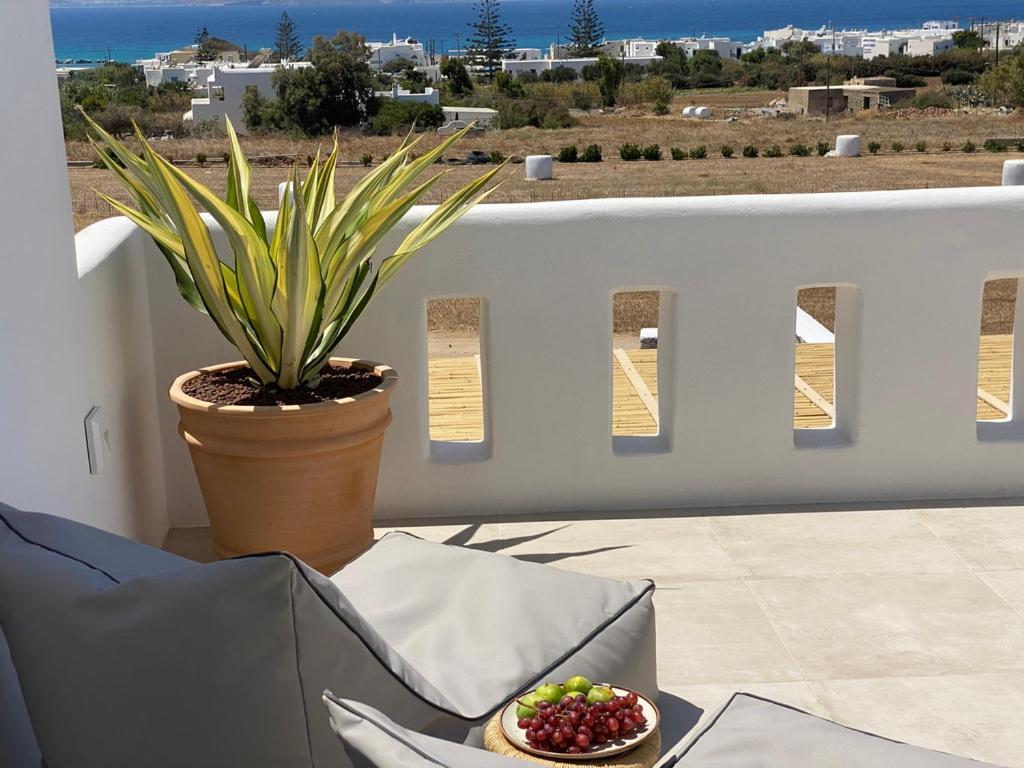 Villa Ypsilon Naxos - Luxury Holiday House With Amazing Sea View & Private Pool Agia Anna  Dış mekan fotoğraf