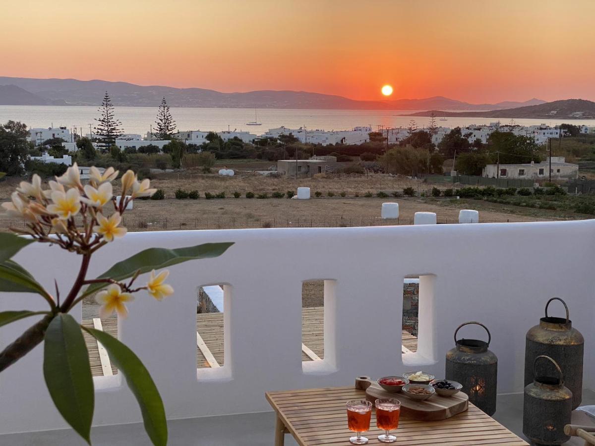 Villa Ypsilon Naxos - Luxury Holiday House With Amazing Sea View & Private Pool Agia Anna  Dış mekan fotoğraf